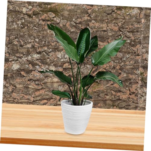 Terrarium Background Natural Tree Bark Backdrop for Reptile Tanks Aquariums Cork Bark Climbing Mat Delicate Habitat Decoration Creates Lifelike Environment for Reptiles