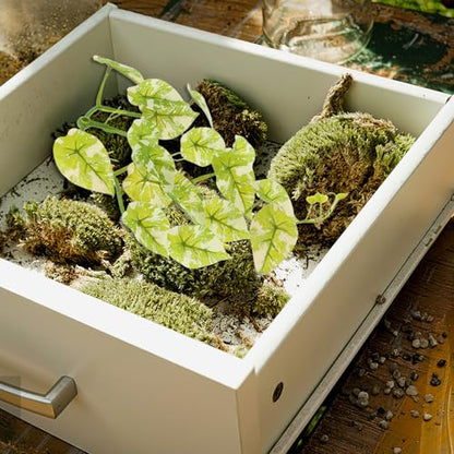 DOITOOL Reptile Tank Plants with Suction Cup, Artificial Climbing Vines with Leaves for Terrarium Decor, Realistic Reptile Habitat Decorations for Snakes Lizards Bearded Dragons