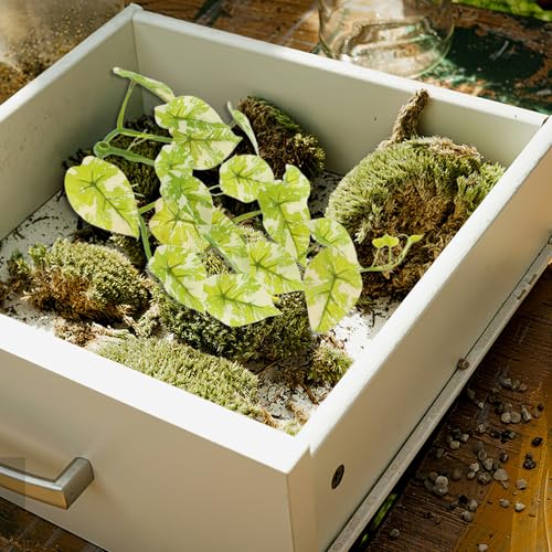 PRETYZOOM Artificial Reptile Tank Plants and Vines with Suction Cups, Fake Climbing Leaves for Terrarium Environment Decorations, Non-Toxic Plastic Reptile Climbing Ornaments Suitable