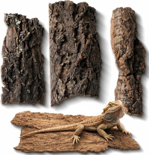 BESPORTBLE 4PCS Reptile Bark Decor Wood - Natural Cork Bark, Leopard Gecko Tank Accessories, Cork Hides Climbing Flats for Lizard, Geckos, Tortoise, Bearded Dragon, Terrarium Decor Random Shape