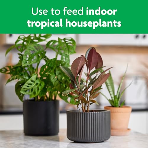 Miracle-GRO Tropical Houseplant Food - Liquid Fertilizer for Tropical Houseplants, 8 fl. oz. - size: 1 Pack, style: Plant Food