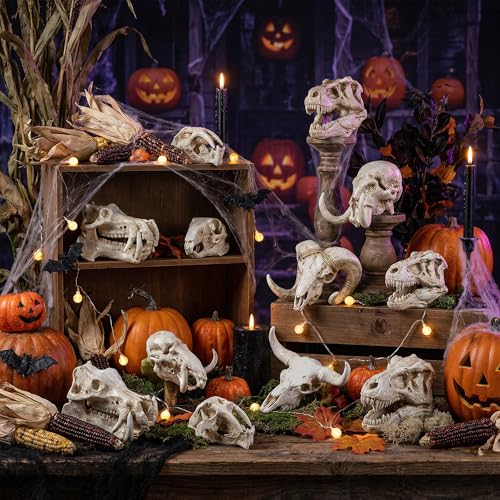 Exasinine 16 Pcs Mini Resin Animal Skull Heads Figurines 1.5 Inch Mini Skulls Figurines Highly Detailed Miniature Animal Skull for Halloween Crafts Gothic Decor Terrarium Micro Landscape Decor