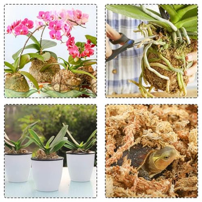 Halatool 10OZ Orchid Moss Sphagnum for repotting, 14QT Dried Sphagnum Moss for Plants Indoor, Maintain Air Humidity and Improve Soil Acidity, Natural Media for Orchid Plant Growth - size: 14 qt (0.6 lbs)
