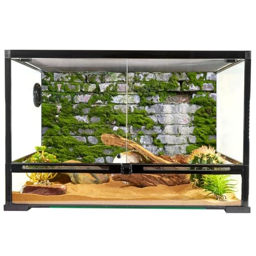 YongFoto Reptile Terrarium Background 30x18 inch Reptile Tank Background Brick Wall Green Moss Reptile Habitat Background Bearded Dragon Fish Tank Aquarium Background Backdrop - color: Gray-Green, size: 30x18in/75x45cm