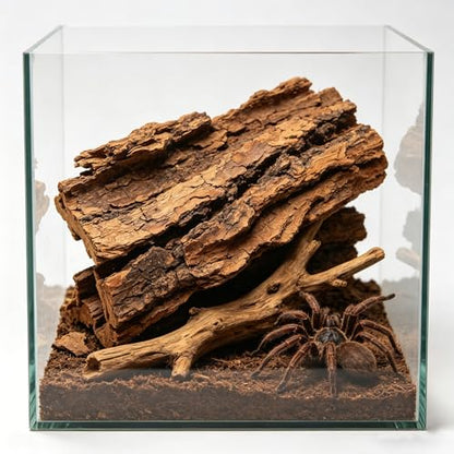 NUOBESTY 8 Pack Natural Reptile Cork Bark Pieces, Small Terrarium Cork Bark Hides for Lizards, Turtles, Snakes Shelter and Decoration Accessories