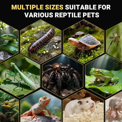 Jumping Spider Enclosure - Acrylic Terrarium Habitat for Spiders, Tarantulas, Snail, Mantis, Lizard, and Small Reptiles, Magnetic Doors (3x3x6 inch) - size: 3x3x6inch
