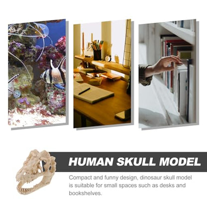 Resin Dinosaur Skull Model Realistic for Office Display Small Decoration for Terrariums Halloween Decor and Anatomy Teaching Tool