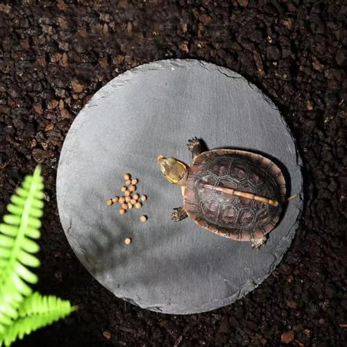 5.9inch Reptile Basking Platform Rock Tortoise Habitat Slate Rock for Reptiles Food Dish Landscape Habitat Decor Accessories for Crested Gecko Lizard Bearded Dragon Turtle