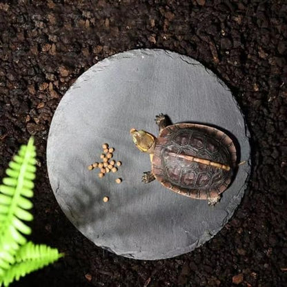 5.9inch Reptile Basking Platform Rock Tortoise Habitat Slate Rock for Reptiles Food Dish Landscape Habitat Decor Accessories for Crested Gecko Lizard Bearded Dragon Turtle