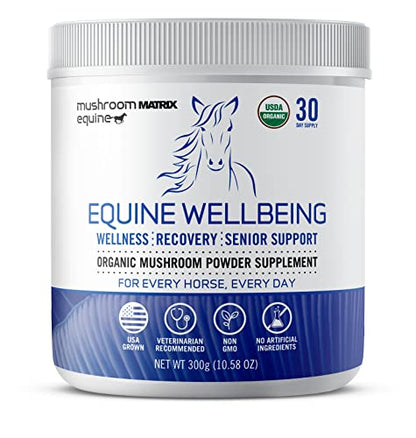 Om Mushroom Matrix - Equine | Wellbeing | USA Grown Human-Grade Organic Mushroom Powder Show Safe Horse Supplement | Wellness, Recovery, & Senior Support | 300 Grams, 10.5 oz