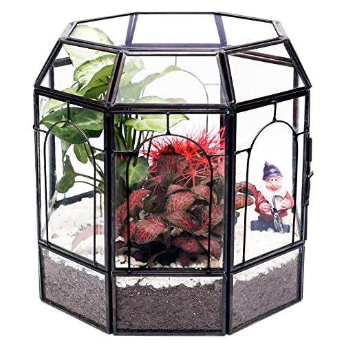 REDHUGO Large Glass Terrarium Handmade, Centerpiece Display Box Gift Planter Containers Indoor Terrariums House for Succulent Cacti Air Plants Miniature Fairy Garden - color: Black