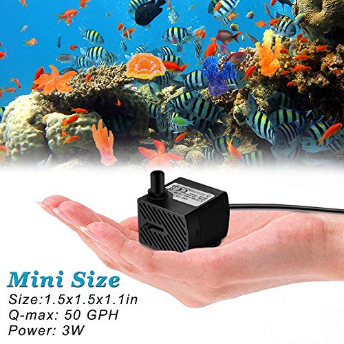 DOMICA 3W 50GPH Mini Submersible Water Pump, Small Fountain Pump for Pond, Aquariums, Fish Tank, Tabletop Fountain, Pet Fountain, Indoor or Outdoor Fountain (AC Powered)