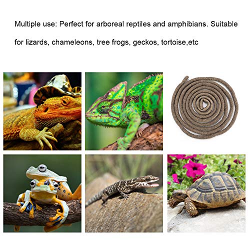 9.84ft Reptile Vine, Flexible Jungle Climber Long Vine Terrarium Decorative Rattan with Suction Cup for Chameleon Lizard Gecko (S) - size: S