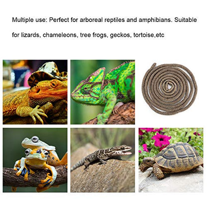 9.84ft Reptile Vine, Flexible Jungle Climber Long Vine Terrarium Decorative Rattan with Suction Cup for Chameleon Lizard Gecko (S) - size: S