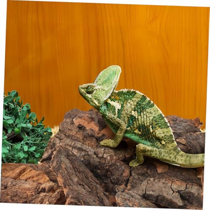 Yardwe 14Pcs Natural Cork Bark Reptile Hideout and Climbing Platform Multi-Functional Habitat Decor for Bearded Dragon Gecko Snake Terrarium Accessories