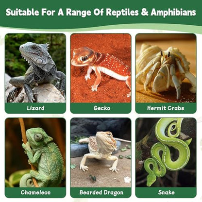 PINVNBY Gecko Feeder Bowl Resin Rock Reptile Water Dish with Feeding Cups Gecko Reptile Terrarium Tank Accessories for Bearded Dragons Leopard Lizard Snake Chameleon