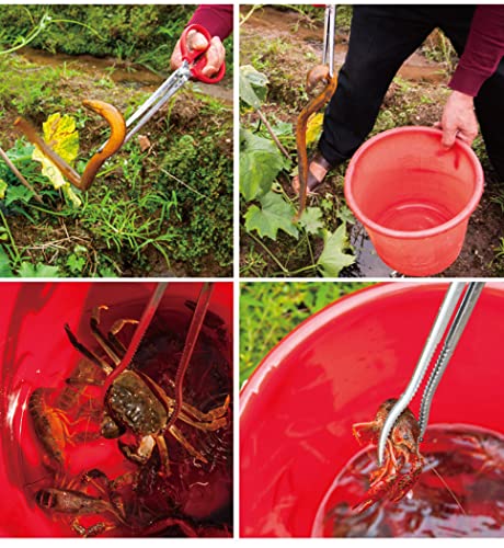 Toasis Stainless Steel Crabbing Tongs for Live Crabs Eels (Straight Tip) - style: Straight Tip