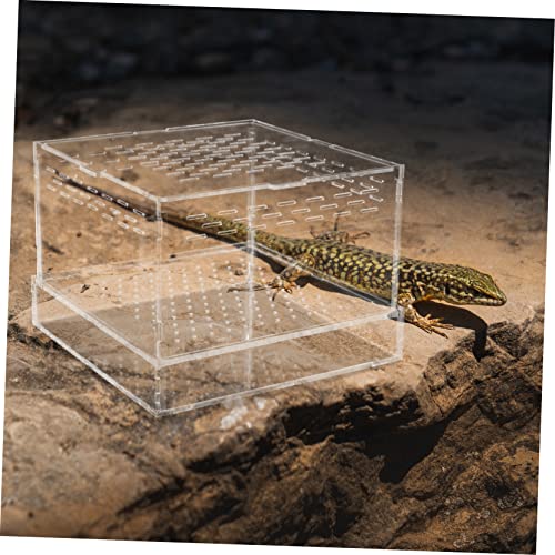 POPETPOP Acrylic Feeding and Hatching Container for Reptiles and Insects Portable Case Lid for Spiders Geckos and Crickets Breeding Habitat for Pet Observation