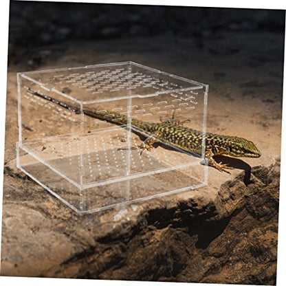 POPETPOP Acrylic Feeding and Hatching Container for Reptiles and Insects Portable Case Lid for Spiders Geckos and Crickets Breeding Habitat for Pet Observation