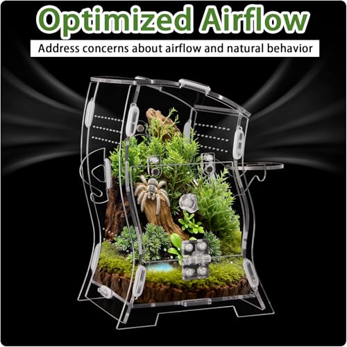 Jumping Spider Enclosure Kit (Clear or Black), 3.15x3.15x5.6 Inch Acrylic Terrarium with Magnetic Lock & Feeding Hole, Escape-Proof Mini Habitat for Tarantula, Mantis, Reptiles (Transparent Color-2)