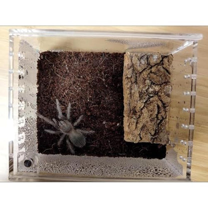 Spider Terrarium, Easy Observation, 10.5x8.5x6cm, Transparent Breeding Box, Frog Breeding Box, Portable and Convenient Enclosure, for Spiders, Snakes, Lizards, Frogs, Geckos