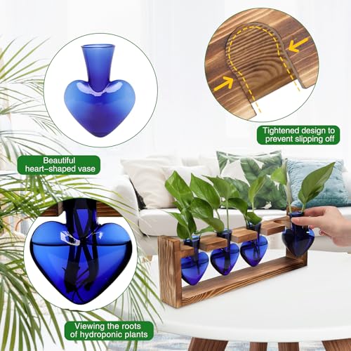 Heart Plant Terrarium Kit Gift for Women Plant Lover Glass Vases - color: Blue
