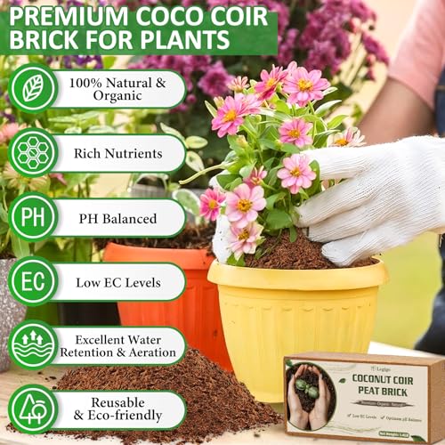 Legigo 12 Pack Premium Coco Coir Brick for Plants- 100% Organic Compressed Coconut Coir Bricks Starting Mix, Coco Coir Fiber Coconut Husk for Planting, Gardening, Potting Soil Substrate, Herbs - color: Pack of 12