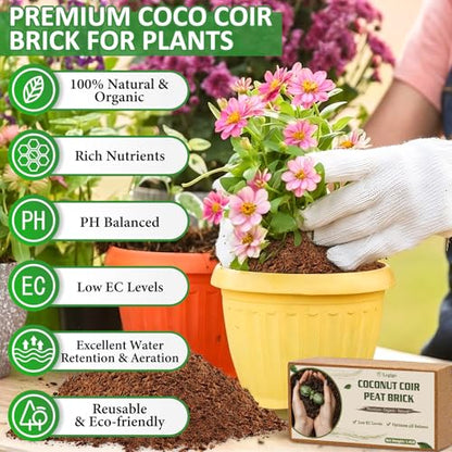 Legigo 12 Pack Premium Coco Coir Brick for Plants- 100% Organic Compressed Coconut Coir Bricks Starting Mix, Coco Coir Fiber Coconut Husk for Planting, Gardening, Potting Soil Substrate, Herbs - color: Pack of 12
