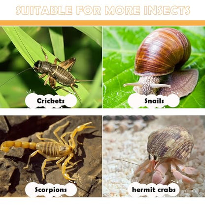 5 Pcs Cricket Feeding Bowl Plastic Feeder Transparent Eating Basin for Cricket Dubia Cockroach Cherry Cockroach Snail Crab Insect