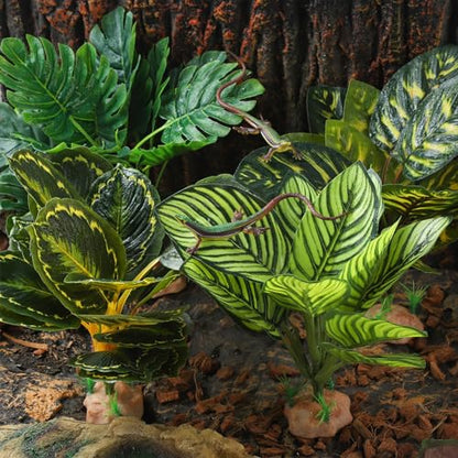 IBWell Reptile Terrarium Plants - Tortoise Habitat Accessories, Artificial Spider Plant for Gecko, Ball Python - Calathea Makoyana A