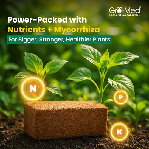 Gro-Med Organic Coco Coir Bricks for Plants – 2 Pack Compressed Coconut Coir Soil with Nutrients, Low EC & pH Balanced Seed Starter Potting Mix for Indoor & Outdoor Plants - size: 2 Pack - NPK Enriched Coco Coir Brick