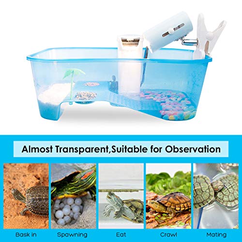 Turtle Tank with Multi-Function Areas, Easy Assembly, Ideal for Small Turtles & Reptiles, Includes Plastic Tree & Fishing Net - color: Blue