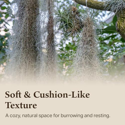 The Habitat Life - Natural Spanish Moss - for Reptiles, Amphibians & Invertebrates Terrariums - Humidity Control - Breathable Bedding - Dye-Free & Safe - Small - 1 Pack - size: Small, style: Spanish Moss