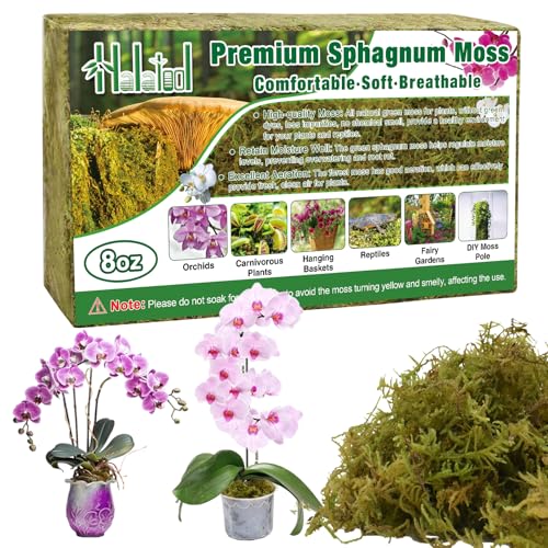 Halatool 8OZ Premium Sphagnum Moss for Plants, 12QT Green Moss for Plants Indoor Potted Orchid Moss for Repotting Succulent Carnivorous Terrarium Gardening Reptiles - color: 8 oz