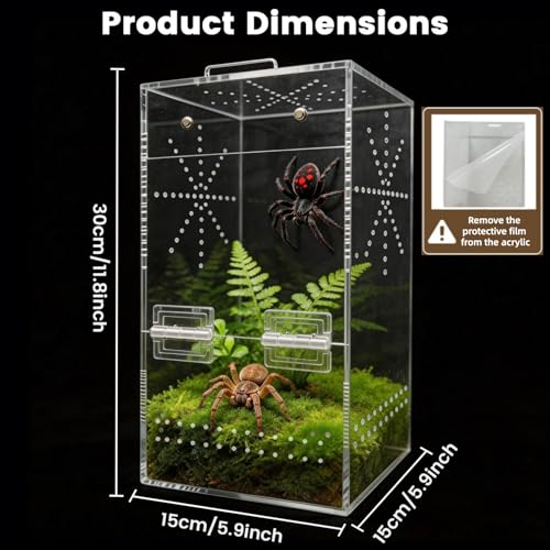 Jumping Spider Enclosure, 6"×6"×11.8" Escape Proof Transparent Acrylic Enclosure, Magnetic Door Acrylic Tarantula Terrarium with Feeding Port, Praying Mantis Terrariums, Arboreal Tarantula Cribs
