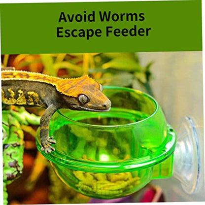 Reptile Bowl Feeder Water Dish Gecko Ledge Suction Cup Accessories for Gecko Lizard Snakes