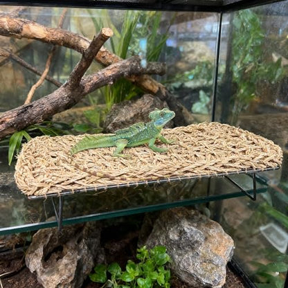 Large Bearded Dragon Tank Accessories13 x7.4"x3" + Humidity Meter Set Rectangle Lizard Bed with Metal Legs Grass Weaving Hammock for Turtle Snake Hermit Crab Frog (Straw Weaving, Rectangle)