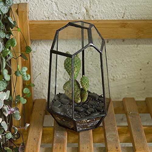 NCYP Small No Door Geometric Terrarium - 4.1" x 3.5" x 5.9" Miniature Irregular Glass Terrarium Planter for Mini Succulent Air Plants - Tabletop Garden Container, Black (No Plants) - size: 4.1"x3.5"x5.9"