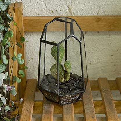 NCYP Small No Door Geometric Terrarium - 4.1" x 3.5" x 5.9" Miniature Irregular Glass Terrarium Planter for Mini Succulent Air Plants - Tabletop Garden Container, Black (No Plants) - size: 4.1"x3.5"x5.9"