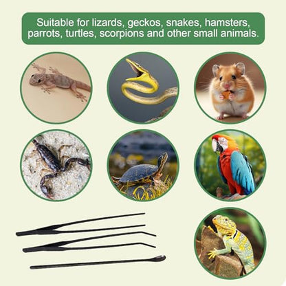 Reptile Feeding Tongs Kit, 2Pcs Extra Long Stainless Steel Reptile Feeding Tongs, 1Pcs Feeding Spoon, Small Animal Feeder Tool for Lizards, Crested Geckos, Bearded Dragons - color: Feeding Set