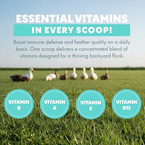 Fresh Eggs Daily Poultry Electrolyte Powder - Hydration Support Drink Mix with Probiotics for Chickens & Ducks - Natural Supplement for Environmental Challenges, Immune Health & Egg Quality - 8 Oz