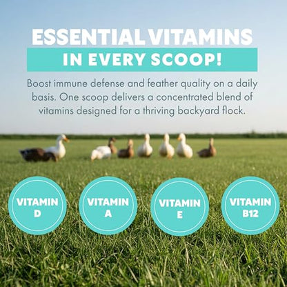 Fresh Eggs Daily Poultry Electrolyte Powder - Hydration Support Drink Mix with Probiotics for Chickens & Ducks - Natural Supplement for Environmental Challenges, Immune Health & Egg Quality - 8 Oz