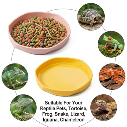 4PCS Reptile Food Dish, Round Plastic Reptile Water Bowl, Reusable Escape Proof Reptiles Feeding Dish for Lizards, Geckos, Bearded Dragons, Chameleons, Hermit Crabs, and Other Small Reptiles
