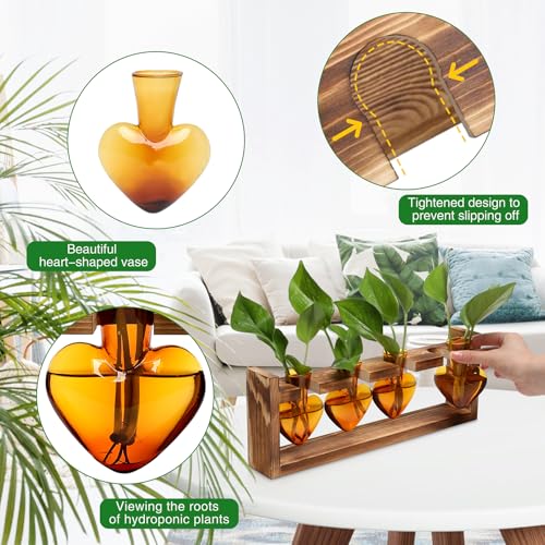 Plant Propagation Stations Heart Plant Terrarium Kit Gift for Women Plant Lover Glass Vases - color: Amber