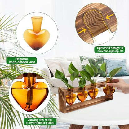 Plant Propagation Stations Heart Plant Terrarium Kit Gift for Women Plant Lover Glass Vases - color: Amber