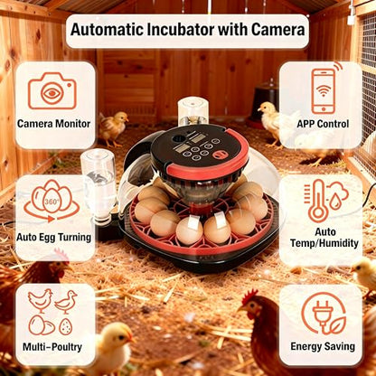 Automatic Egg Incubator for 12 Chicken Eggs with Camera APP Control | Temperature & Humidity Monitor, Auto Egg Turner, Record Life's Birth Moments for Chicken Duck Quail Pigeons