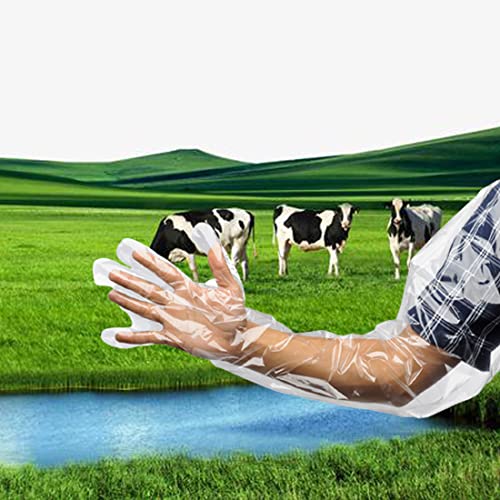 50 Pack Veterinary Insemination Gloves 35 Inch Long Disposable