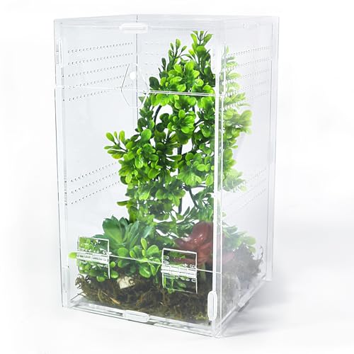 Jumping Spider Enclosure 6”x6”x10”, Transparent Arboreal Tarantula Habitat, Praying Mantis Terrarium Critter Cage for Jumping Spider, Tarantula, Mantis, Snail, Isopods, Beetles, Millipedes - size: Large