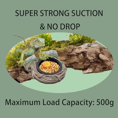 Reptile Feeding Ledge with 2 Cups, Hollow Vine Food Dish & Water Bowl for Bearded Dragon, Gecko, Lizard & Snake – Reptile Tank Accessories for Terrariums - size: Magnetic- Single Feeder