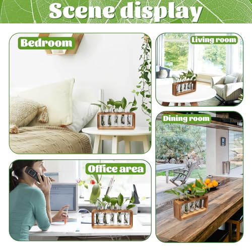 Glass Plant Propagation Station with 5 Test Tubes Colorful Planter Vase Birthday Gifts for Women in Wooden Stand - color: Gray
